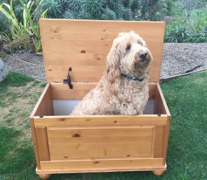 marley in a box